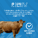 VET_ECOTOWEL_150M_01.webp