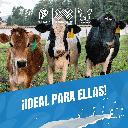 VET_ECOTOWEL_150M_02.webp