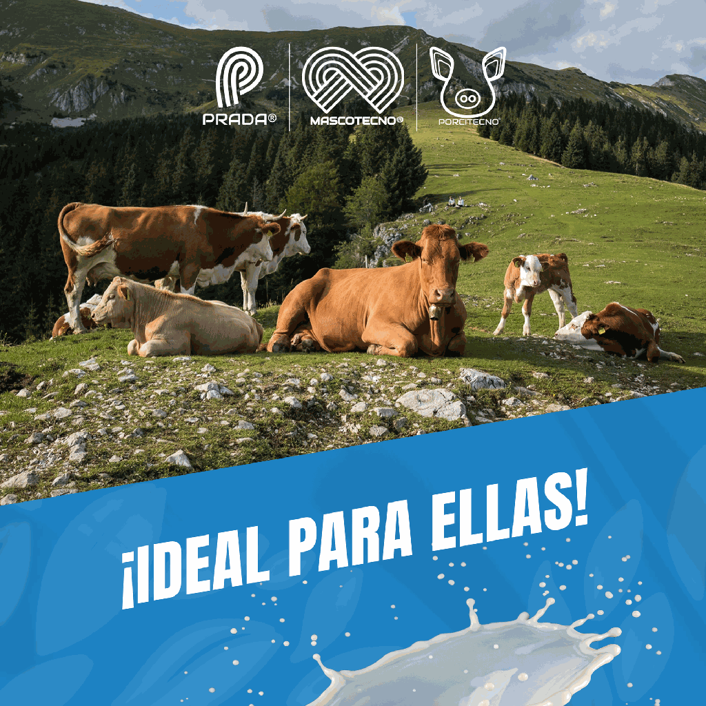 VET_ECOTOWEL_100M_02.webp