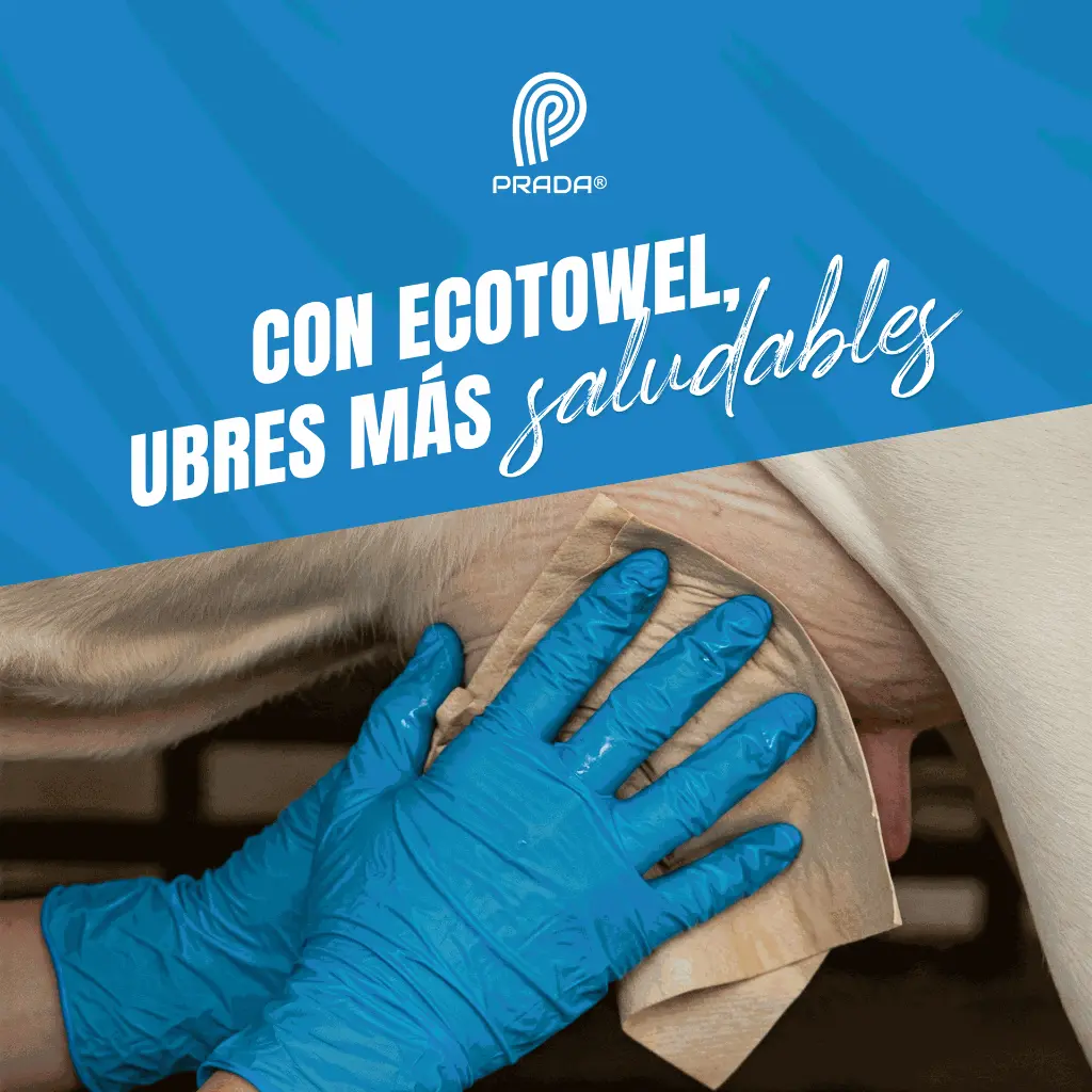 VET_ECOTOWEL_100M_04.webp