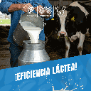 FILTRO_ECOTOWEL_50UND_02.webp