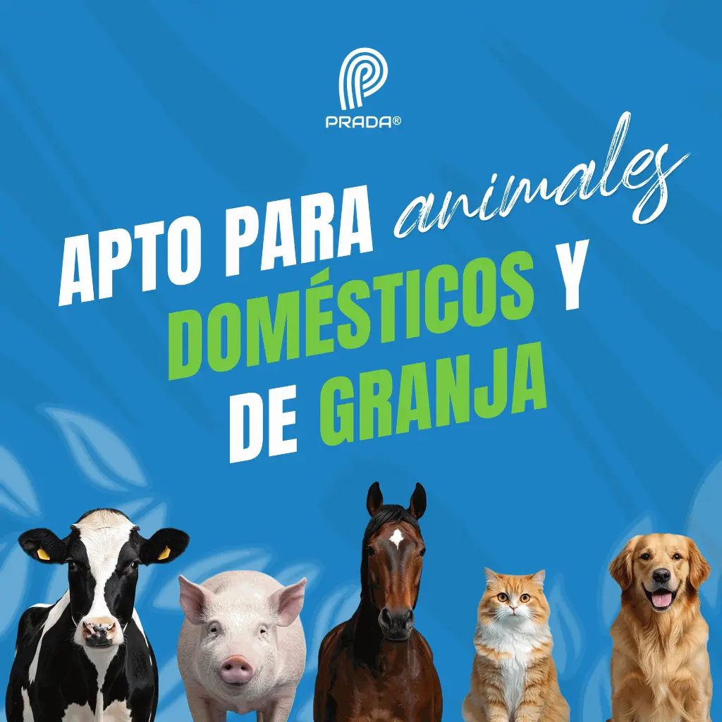 VACOL_20G_05.webp