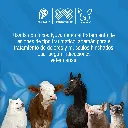 VACOL_200G_01.webp