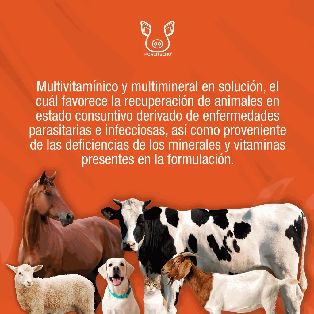 COMPLEMIL_ORAL_1L_01.webp