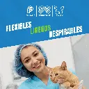 GORRO_DESECHABLE_ORUGA_02.webp