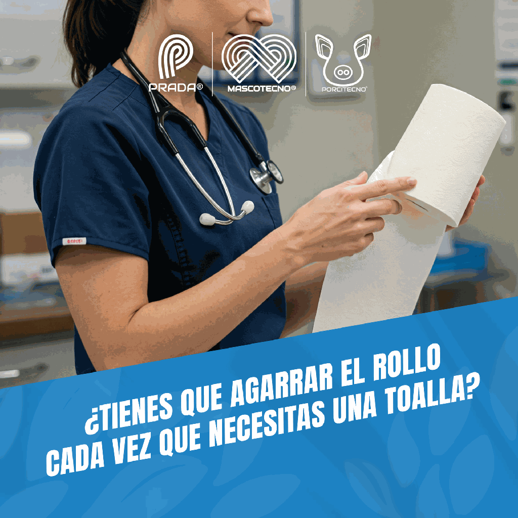 DISPENSADOR_TOALLAS_02.webp