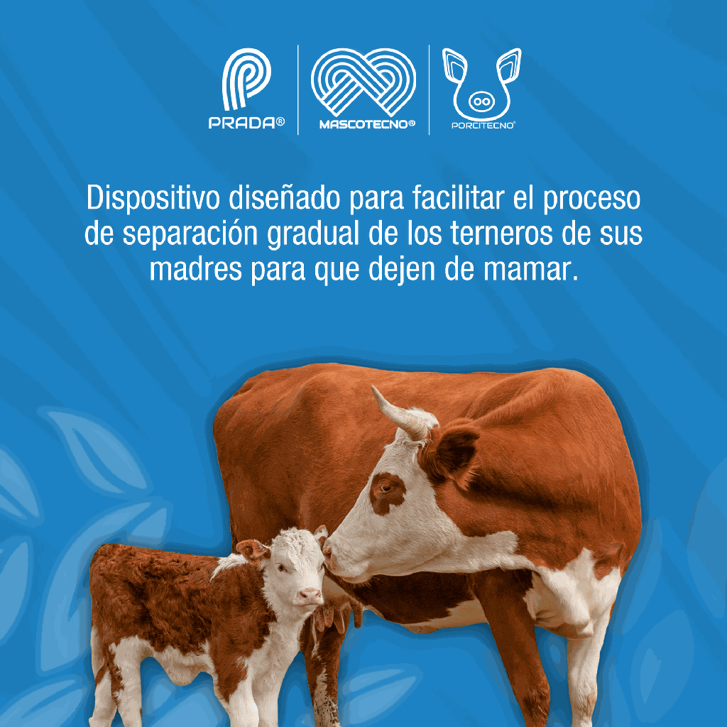 DESTETADOR_PEQUEÑO_PLASTICO_01.webp
