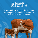 DESTETADOR_PEQUEÑO_PLASTICO_01.webp