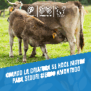 DESTETADOR_PEQUEÑO_PLASTICO_02.webp