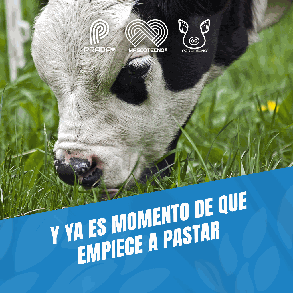 DESTETADOR_PEQUEÑO_PLASTICO_03.webp