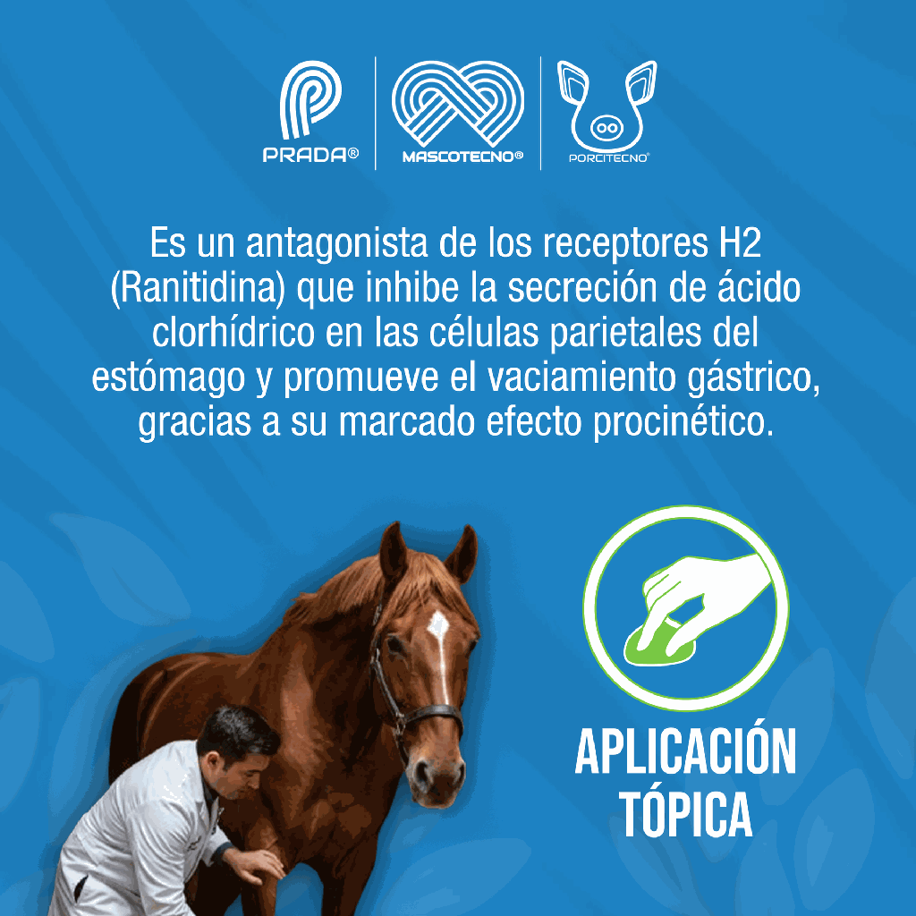 IXER_4LT_01.webp