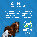 IXER_4LT_01.webp