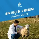 ADRENALINA_VET_20ML_05.webp