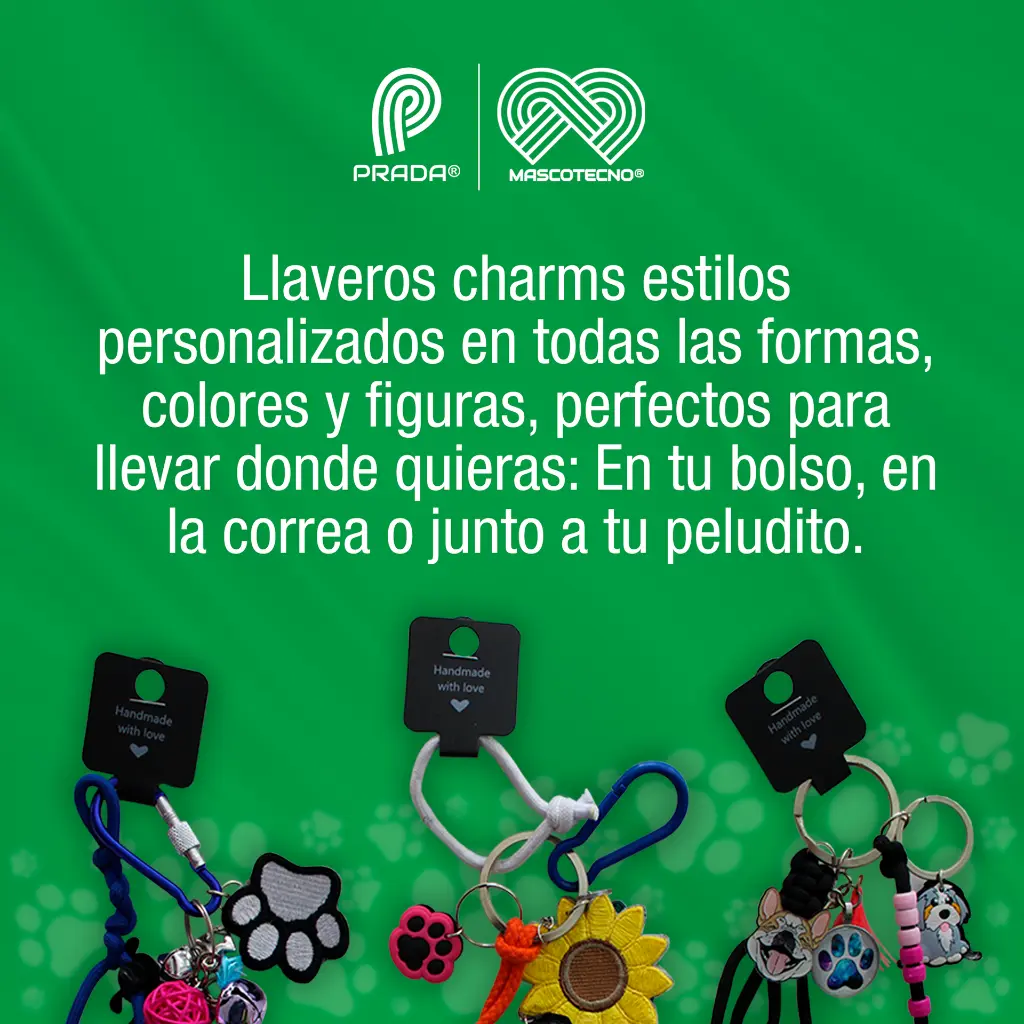LLAVEROS CHARMS PET (MASCOTAS)
