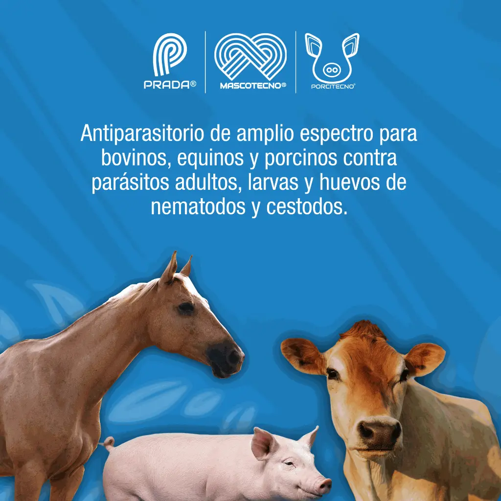 FENBENDA_ZOO_2LT_01.webp