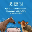 FENBENDA_ZOO_2LT_01.webp