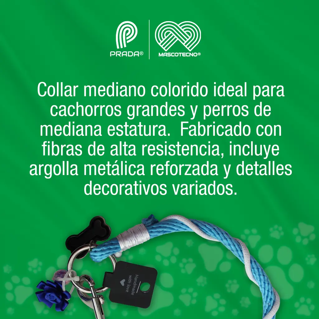 COLLAR_MEDIANO_PERROS_01.webp