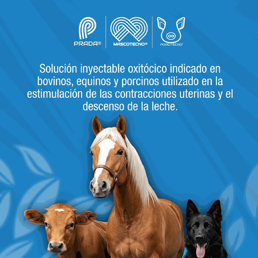 OXITOCINA_10ML_01.webp