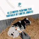 TERMOMETROL_DIGITAL_CPM_VERDE_04.webp
