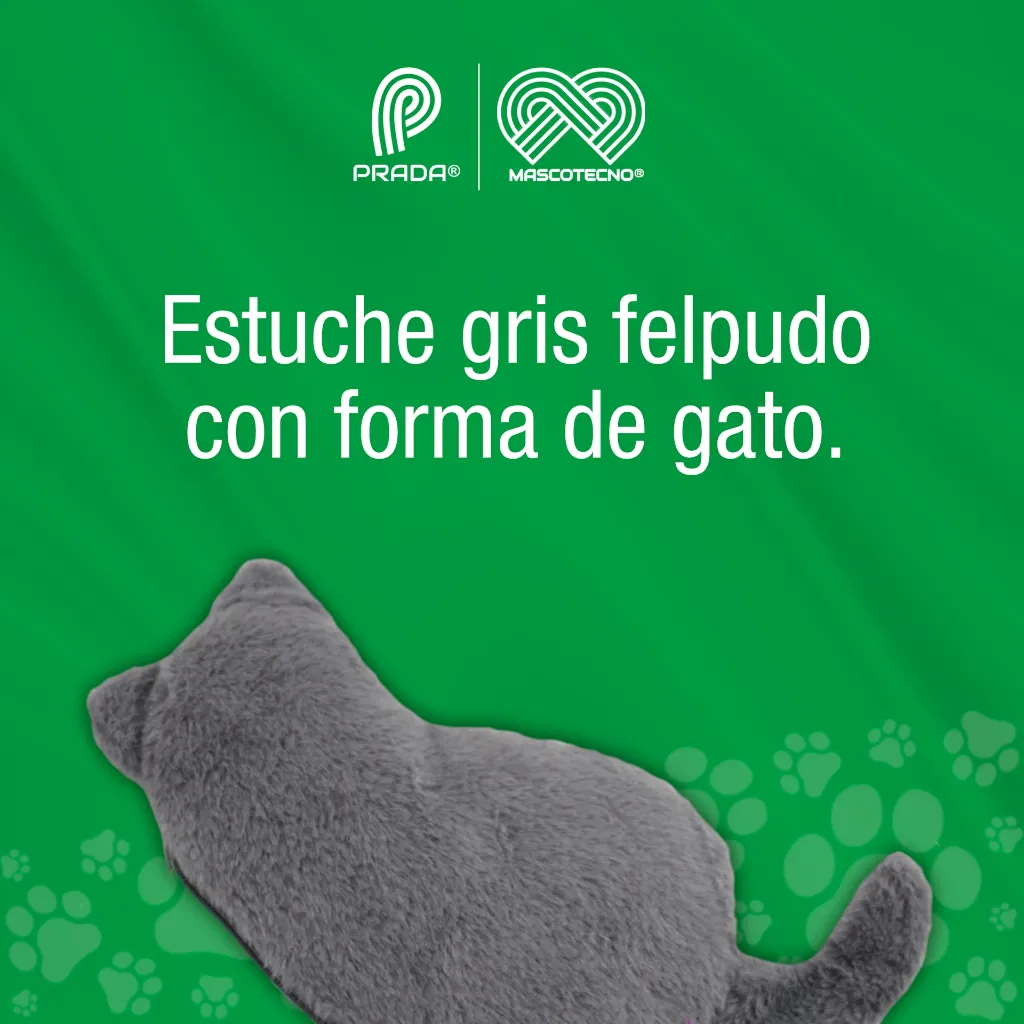 ESTUCHE_GATO_02.webp