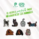 PINES_METALICOS_MASCOTAS_03.webp