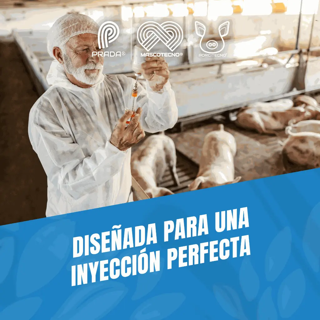 AGUJA_DESECHABLE_21G_03.webp