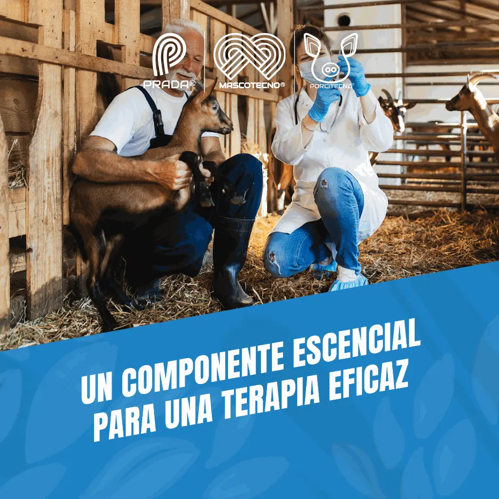 AGUJA_DESECHABLE_22G_03.webp