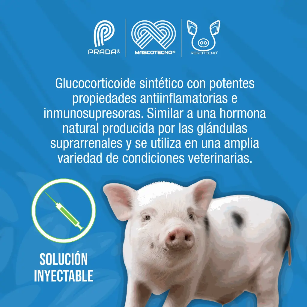 DEXAMETASONA_10_ML_01.webp