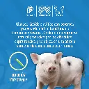DEXAMETASONA_10_ML_01.webp