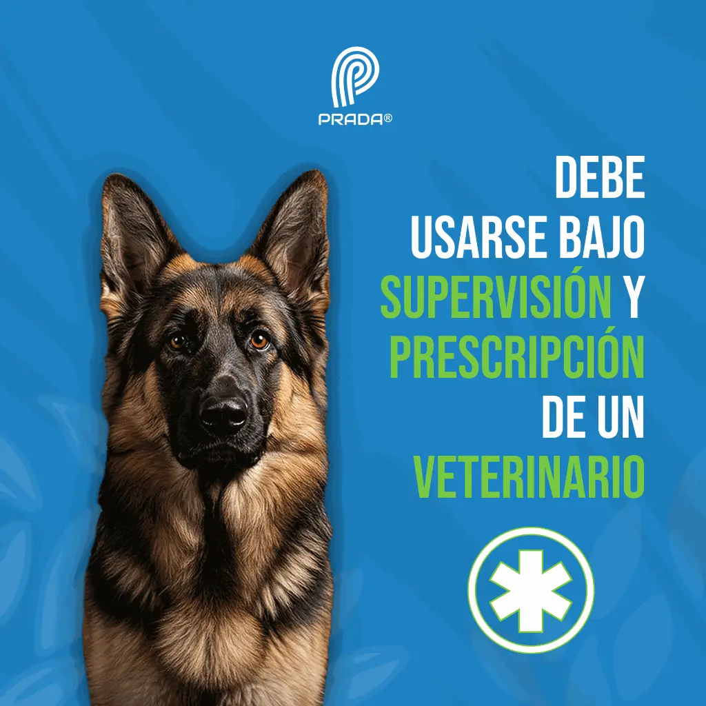 DEXAMETASONA_10_ML_05.webp