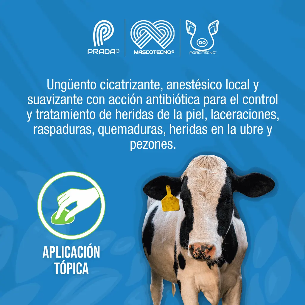 UBREVET_220GR_01.webp