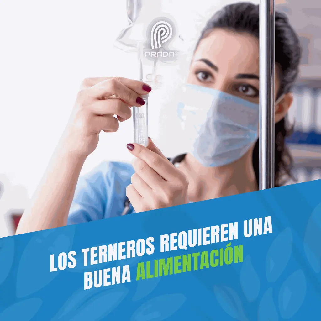 LACTATO_RINGER_50ML_04.webp