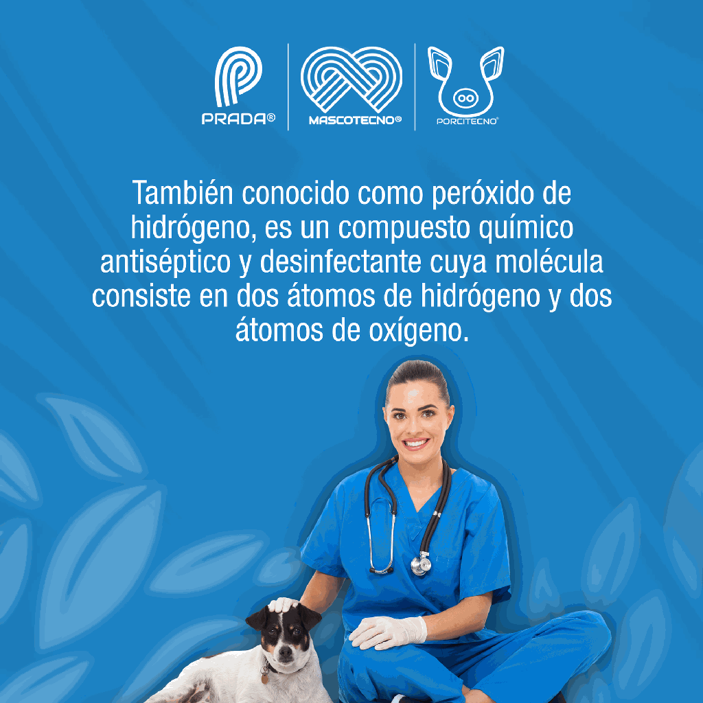 AGUA_OXIGENADA_GL_01.webp