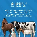 INDIGEST_INY_100ML_01.webp