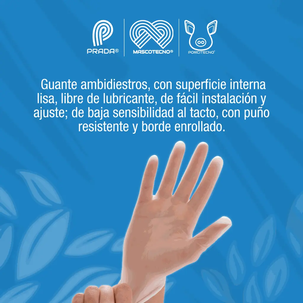 GUANTES_VINILO_L_100UND_01.webp