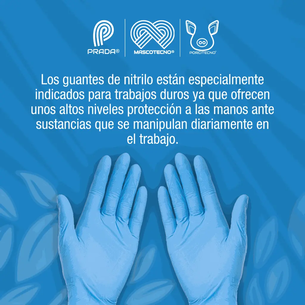 GUANTES_NITRILO_L_CAJAX100_01.webp