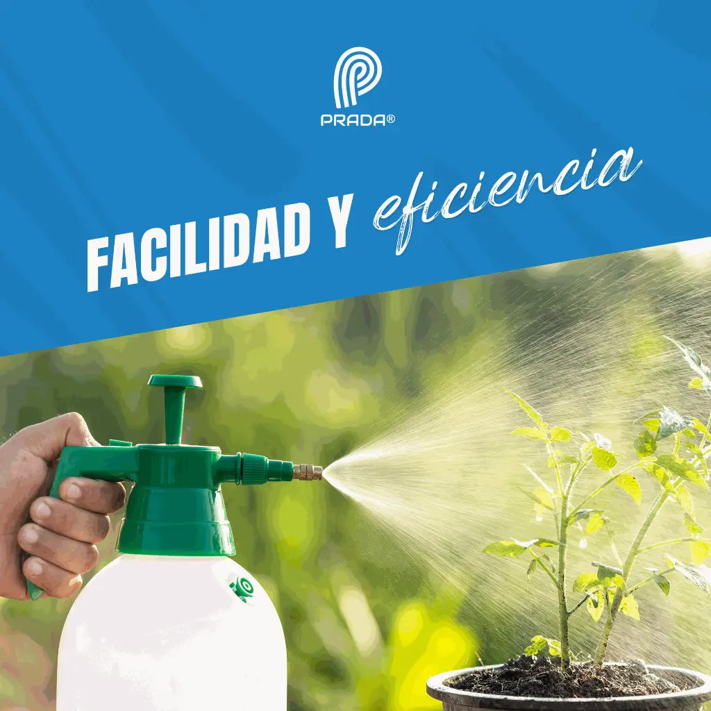 SPAYER_TIPO_Z_2LT_03.webp