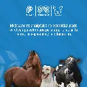 BIODIPIRONA_20ML_01.webp