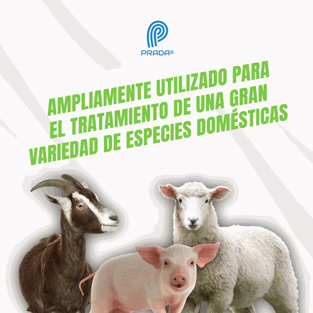 BIODIPIRONA_20ML_05.webp