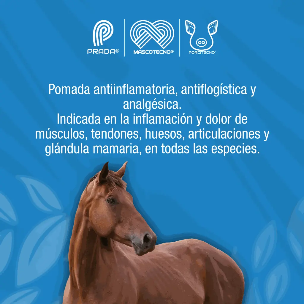 POMADA_ALFA_220GR_01.webp