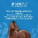 POMADA_ALFA_220GR_01.webp