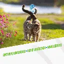 POMADA_ALFA_220GR_05.webp
