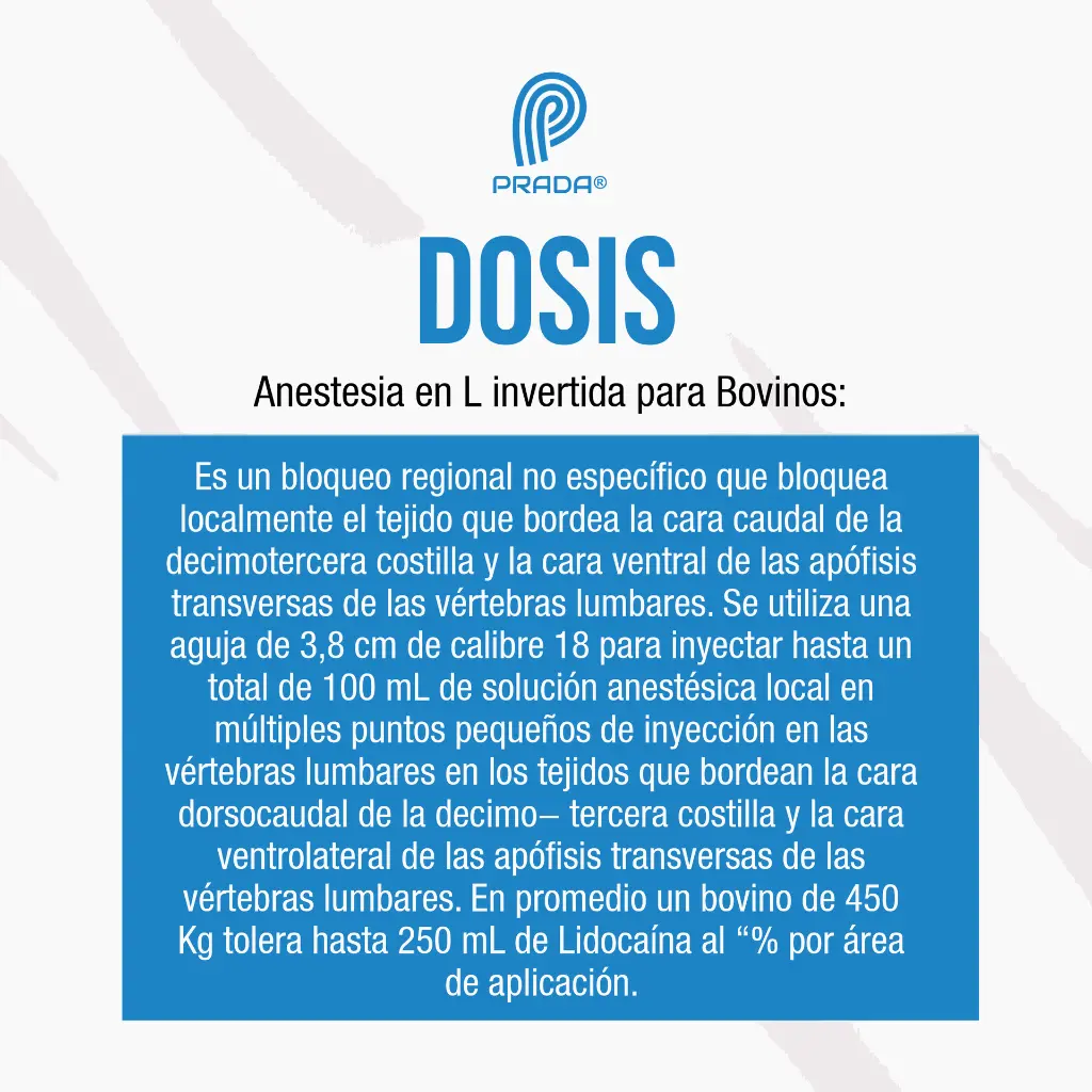 LIDOCAINA_50ML_04.webp