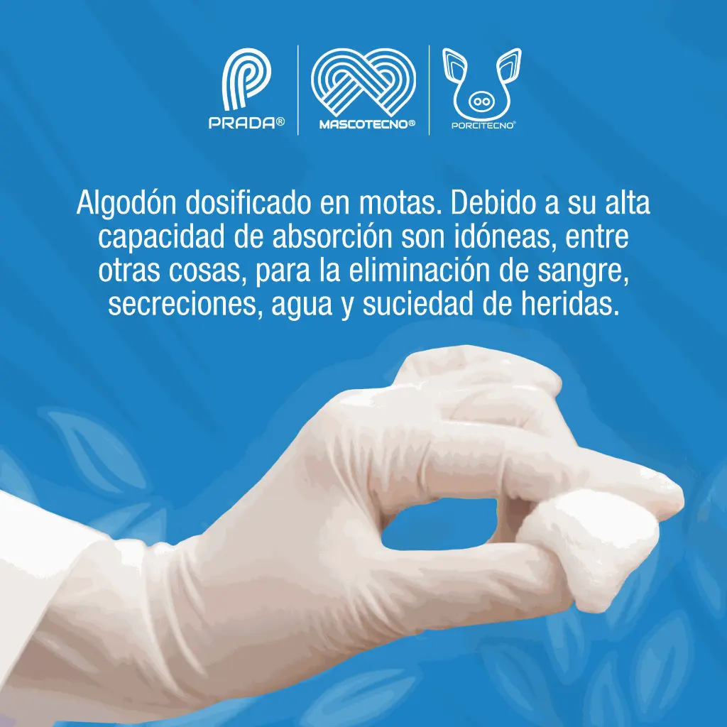 ALGODON_MOTA_500GR_01.webp