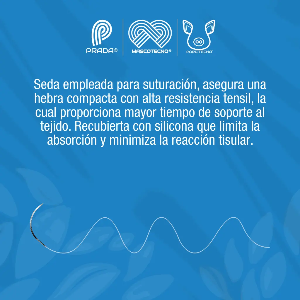 SEDA_SUTURA_DOS_CERO_01.webp