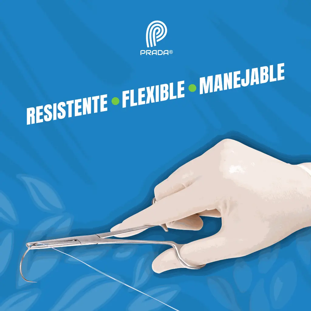 SEDA_SUTURA_DOS_CERO_04.webp