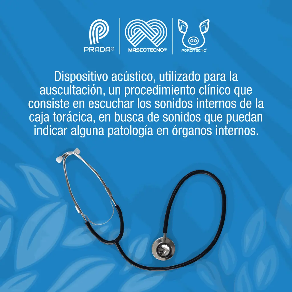 ESTETOSCOPIO_01.webp