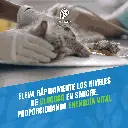 DEXTROSA_10%_04.webp