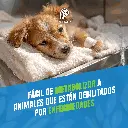 DEXTROSA_05%_04.webp