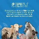 DIURIVET_50ML_01.webp